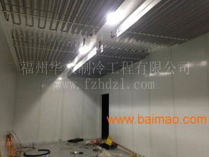 廈門食用菌冷庫 香菇種植冷庫 蘑菇冷庫 金針菇種植,廈門食用菌冷庫 香菇種植冷庫 蘑菇冷庫 金針菇種植生產(chǎn)廠家,廈門食用菌冷庫 香菇種植冷庫 蘑菇冷庫 金針菇種植價(jià)格